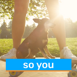 Refund Transfer | 17 social & website video ads campaign “You do you” campaign 2024